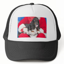 Basset Sticking Tongue Out on Santa's Lap Hats