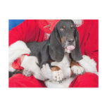 Basset Sticking Tongue Out on Santa's Lap Post Card