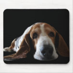 Basset takes a break mouse pads