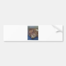 Bassett Hound Bumper Sticker