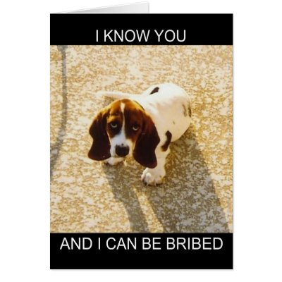 Bassett Hound Cards by mydoggieworld