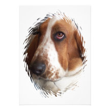 Bassett Hound Invitation