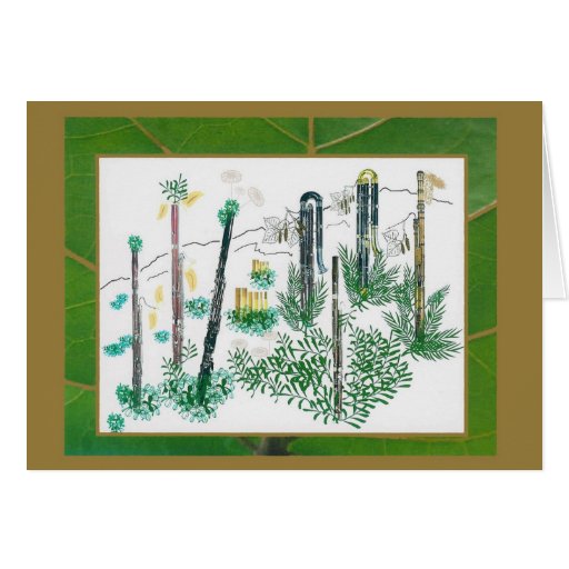 Bassoon Patch Cards