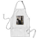 BAST APRON