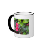 Bastimentos Mug