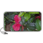 Bastimentos Mp3 Speaker