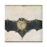 Bat, 1522 refrigerator magnets