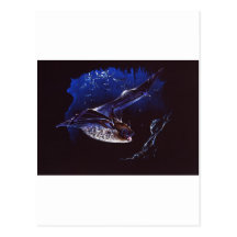 Bat Cave Haunting Post Cards