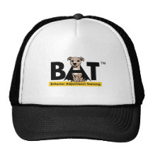 BAT logo gear Hat