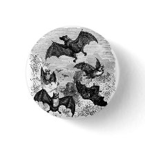 Bat Sketch Pins