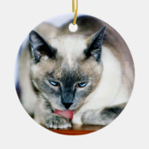 Bath 4 Harmony Ornament