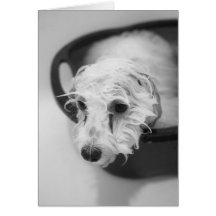 Bath Day Card