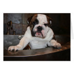 Bath Time Greeting Card