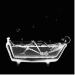 Bath Tub X-Ray Skeleton Black & White photo sculptures