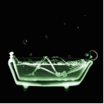 Bath Tub X-Ray Skeleton Green photo sculptures