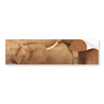 Bathing Baby Elephant Bumper Stickers