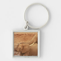 Bathing Baby Elephant Keychain