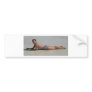 Bathing Beauty Bumper Sticker