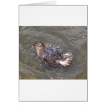 Bathing Duck Greeting Card