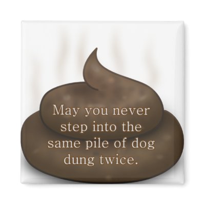 Bathroom Blessing: Don't Step in Poop Twice by egogenius