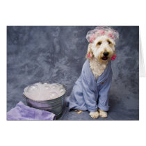 Bathtime for Kati - Kati's Collection