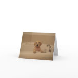 Bathtime Fun! (Blank) Cards