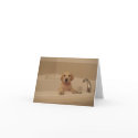 Bathtime Fun! (Blank) cards