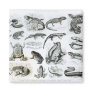Batrachians and other Amphibia Refrigerator Magnets