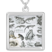 Batrachians and other Amphibia Jewelry