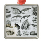 Batrachians and other Amphibia Ornaments