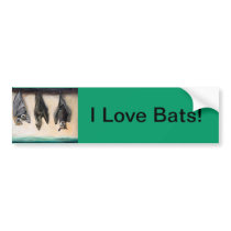 Bats Bumper Sticker