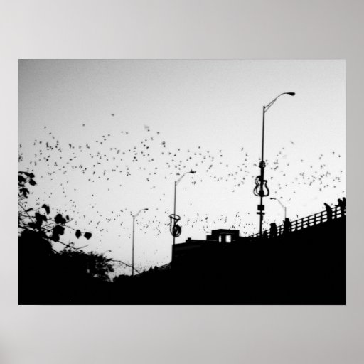Bats over Austin Poster