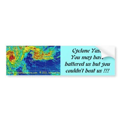 Battered but not Beaten Bumper Stickers by katzworkz