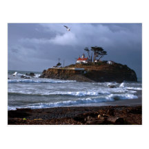 Battery Point Lighthouse & Gull Postcard