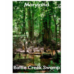 Battle Creek Swamp, Maryland t-shirts