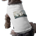 Battle of the Monitor and Merrimack pet clothing