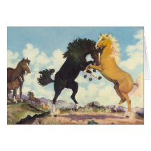 Battle Of The Stallions Greeting Cards