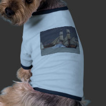 battle-reenactment-at-the-san-deigo-maritime-museu pet clothing