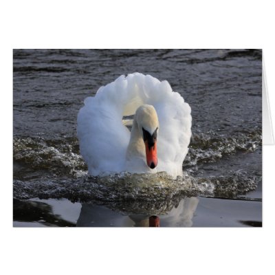 Battleship Swan by Welshpixels