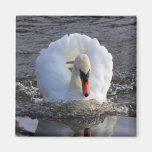 Battleship Swan Refrigerator Magnets