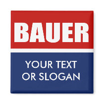 BAUER 2012