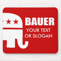 BAUER 2012
