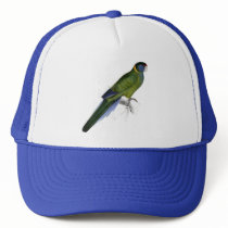 Bauer’s Parrakeet by Edward Lear Hats