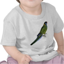 Bauer’s Parrakeet by Edward Lear T-shirts