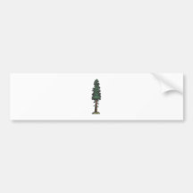 Baum tree sequoia auto sticker