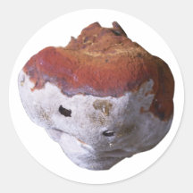 Baumpilz Pilz mushroom bracket fungus Runde Sticker