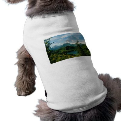 Bavarian Alps Dog Shirt by gvilledesigns