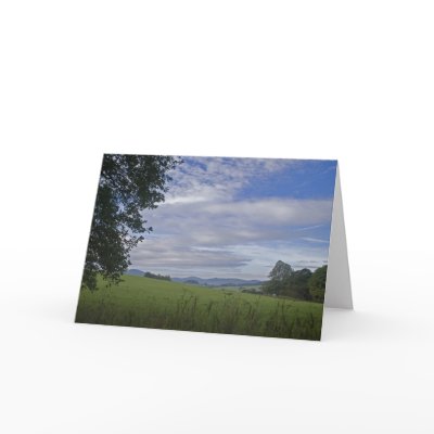 Bavarian Forest • Greeting Card by SabineSt