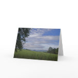 Bavarian Forest • Greeting Card