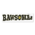Bawsome Boston Awesome bumper stickers